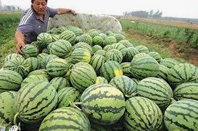 红桃影院免费观看电视剧电视剧高清官方版:追寻高品质视听体验的最新平台