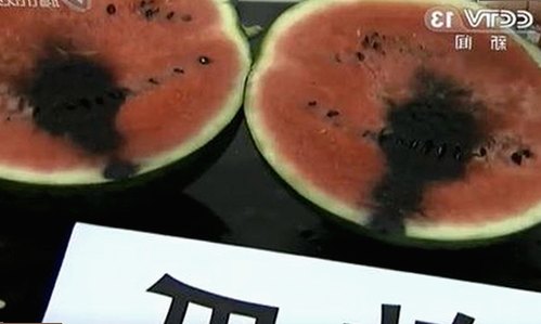 成人抖音官方版:引领内容规范与用户体验提升的关键工具
