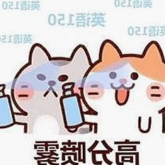 朝阳市企业与资源整合的核心平台——黄页网站官方版解析