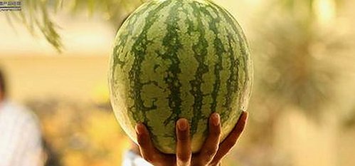 从热门到争议：黄色91免费版的演变与影响