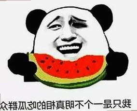 从崛起到巅峰：爱液官方网站最新版下载带来的全新体验