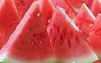 探索新体验：91n最新版下载带来的变革