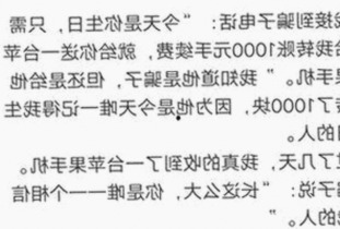 丽江市A片产业的新趋势:市场结构与未来潜力