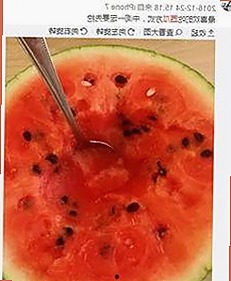 探索www.91与免费版的实用性与优势