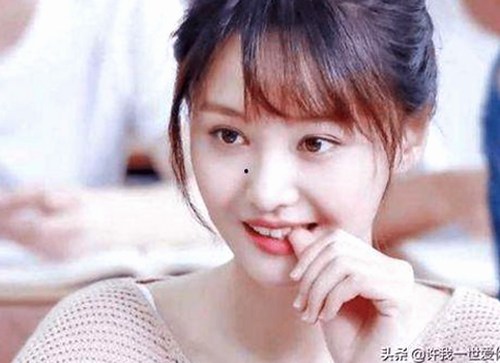 探索禁漫天堂下载官方版下载的便利与安全