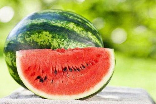 探秘人动物高清免费观看普通话官方版:宿迁市最新在线观看平台解析