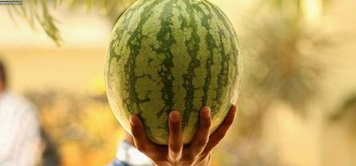 揭秘刘宇宁娱乐生活：西瓜视频免费免费版下载带来的新体验