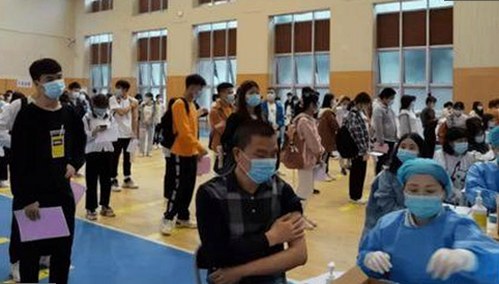 宜春市最新推出的91免费版,探索本地资源的数字化转型