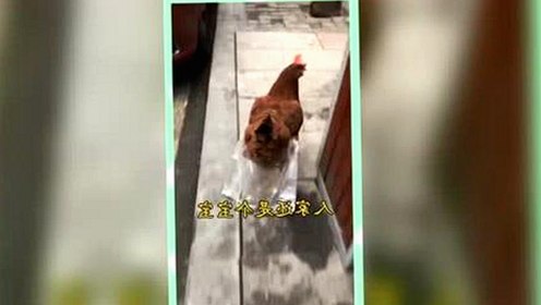最新消息:嫩草17.c 91免费版下载引发热议,安全性备受关注
