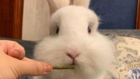 探索91禁🍆🍑🔞❌❌❌看片17cco官方版的最新动态与背景