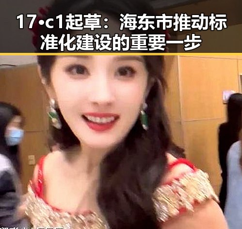 17·c1起草：海东市推动标准化建设的重要一步