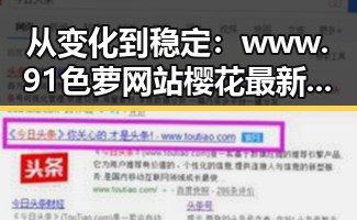 从变化到稳定:www.91色 萝网站樱花最新版的现状与发展