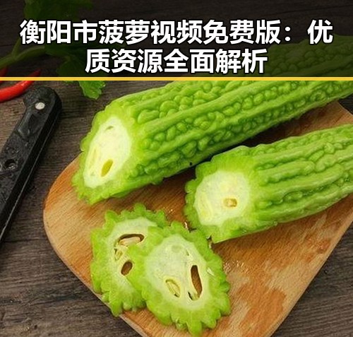 衡阳市菠萝视频免费版：优质资源全面解析