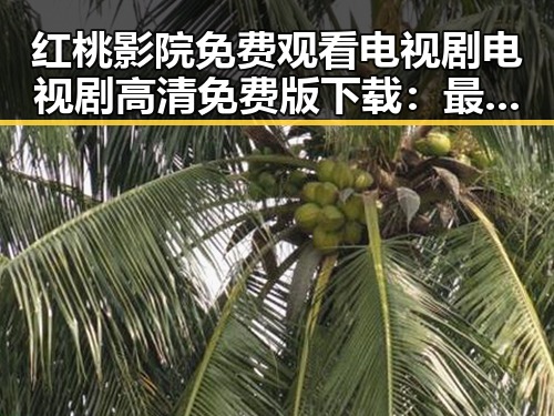 红桃影院免费观看电视剧电视剧高清免费版下载：最新资源解析