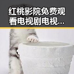 红桃影院免费观看电视剧电视剧高清与免费版：最新观看体验全解析