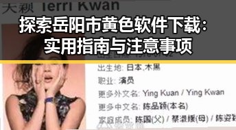 探索岳阳市黄色软件下载：实用指南与注意事项
