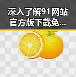 深入了解91网站官方版下载免费版：便捷安全的线上体验