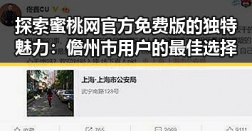 探索蜜桃网官方免费版的独特魅力：儋州市用户的最佳选择