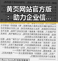 黄页网站官方版：助力企业信息公开与服务提升
