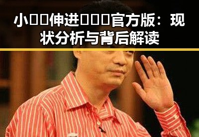 小🐔🐔伸进🈲🔞🔞官方版：现状分析与背后解读