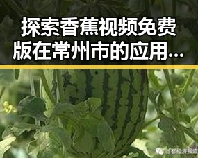 探索香蕉视频免费版在常州市的应用与发展趋势
