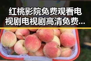 红桃影院免费观看电视剧电视剧高清免费版：天水市最新热门推荐
