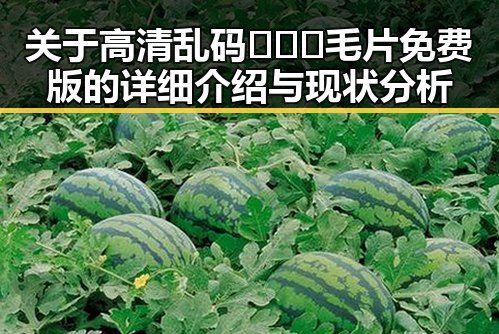 关于高清乱码🔞❌♋毛片免费版的详细介绍与现状分析