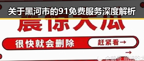 关于黑河市的91免费服务深度解析