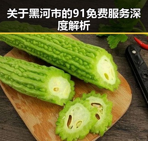 关于黑河市的91免费服务深度解析