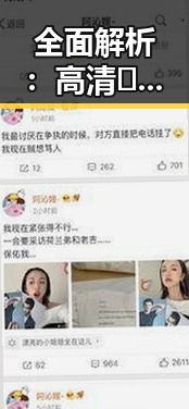全面解析：高清🈚码🔞❌♋免91最新版下载的最新动态与风险