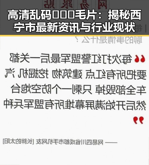 高清乱码🔞❌♋毛片：揭秘西宁市最新资讯与行业现状