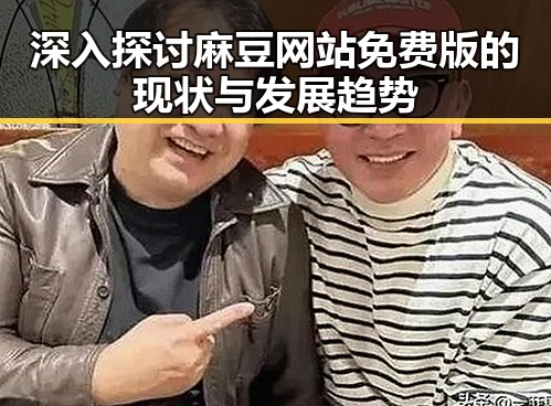 深入探讨麻豆网站免费版的现状与发展趋势