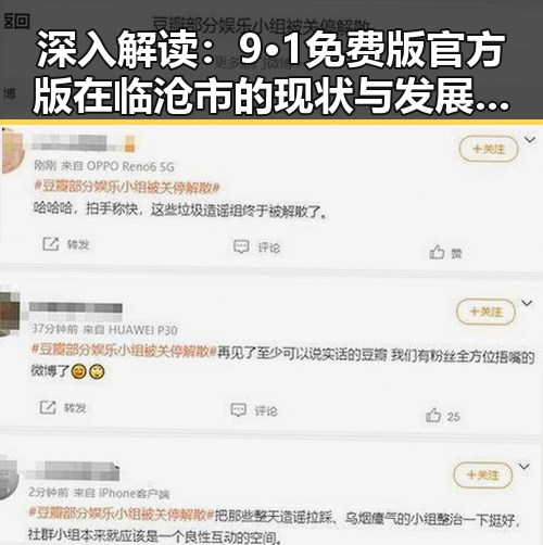 深入解读：9·1免费版官方版在临沧市的现状与发展趋势