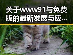 关于www91与免费版的最新发展与应用分析