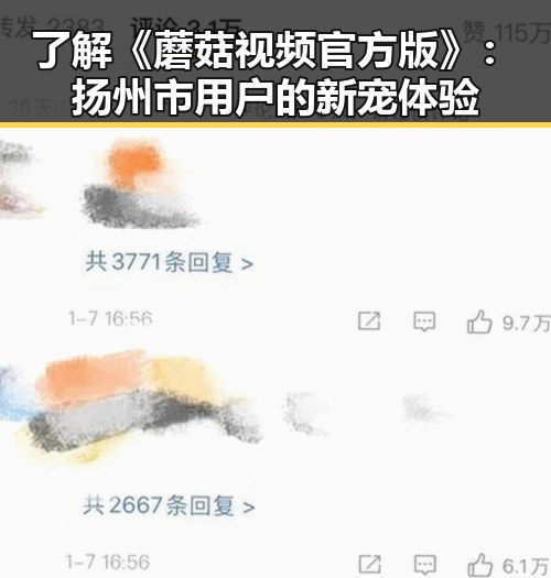了解《蘑菇视频官方版》:扬州市用户的新宠体验