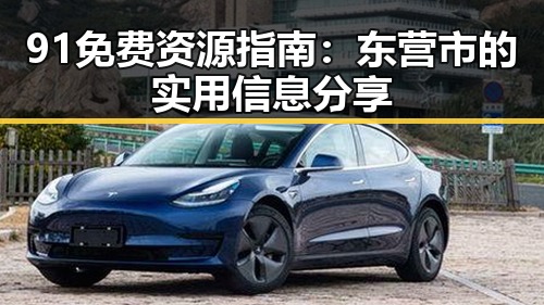 91免费资源指南:东营市的实用信息分享