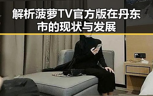 解析菠萝TV官方版在丹东市的现状与发展
