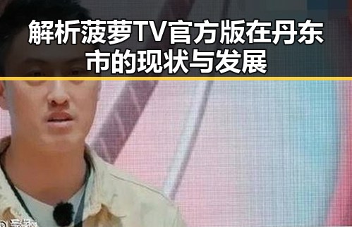 解析菠萝TV官方版在丹东市的现状与发展