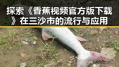 探索《香蕉视频官方版下载》在三沙市的流行与应用