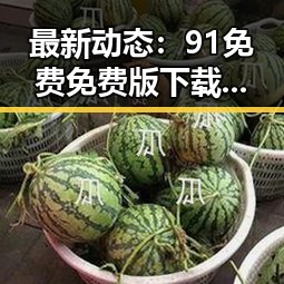 最新动态：91免费免费版下载现已全面推广