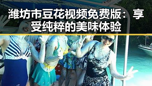 潍坊市豆花视频免费版:享受纯粹的美味体验