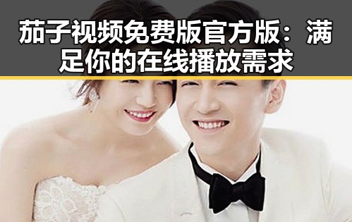茄子视频免费版官方版：满足你的在线播放需求