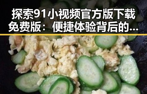 探索91小视频官方版下载免费版：便捷体验背后的发展轨迹