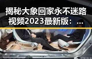 揭秘大象回家永不迷路视频2023最新版：感受动物保护的新奇故事