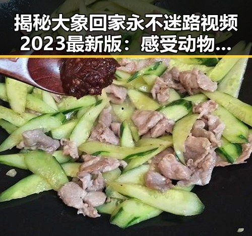 揭秘大象回家永不迷路视频2023最新版：感受动物保护的新奇故事