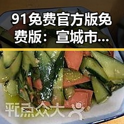 91免费官方版免费版:宣城市用户的最新选择