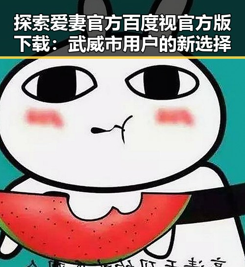 探索爱妻官方百度视官方版下载：武威市用户的新选择