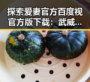 探索爱妻官方百度视官方版下载:武威市用户的新选择