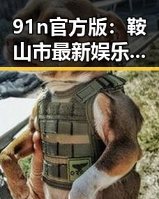 91n官方版：鞍山市最新娱乐体验，打造极致娱乐新体验