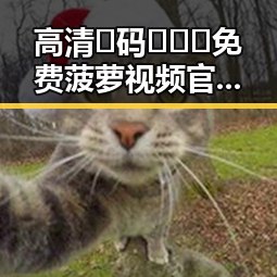 高清🈚码🔞❌♋免费菠萝视频官方版下载:安全无忧的在线观看视频体验